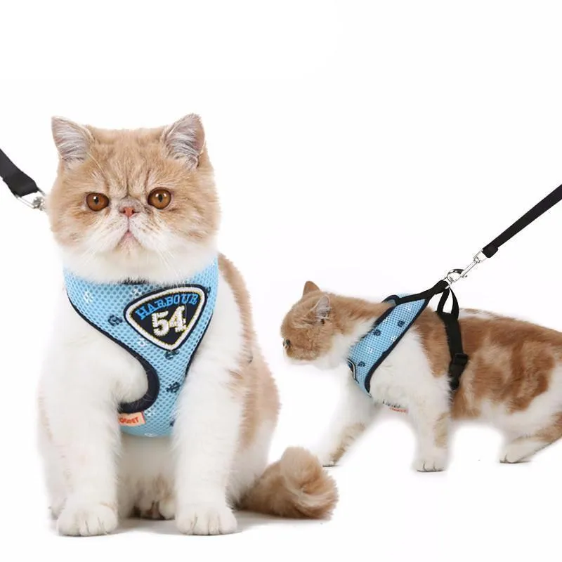 Pet Clever Adventure Harness Leash - US Designed Stock