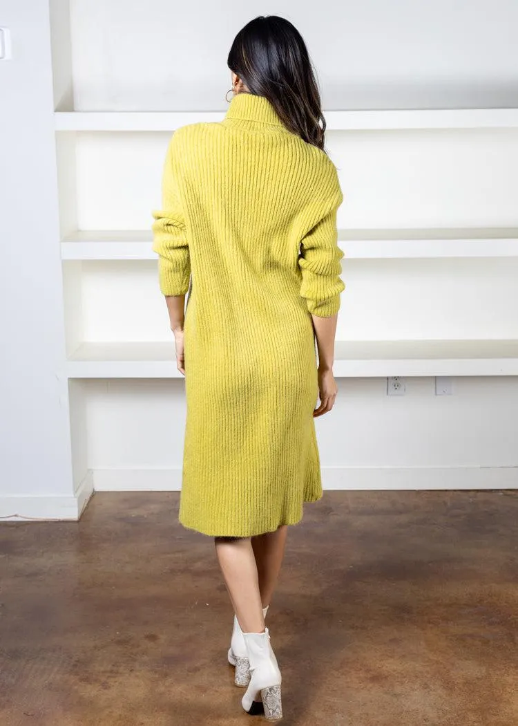 Sandra Turtleneck Sweater Dress *** FINAL SALE ***